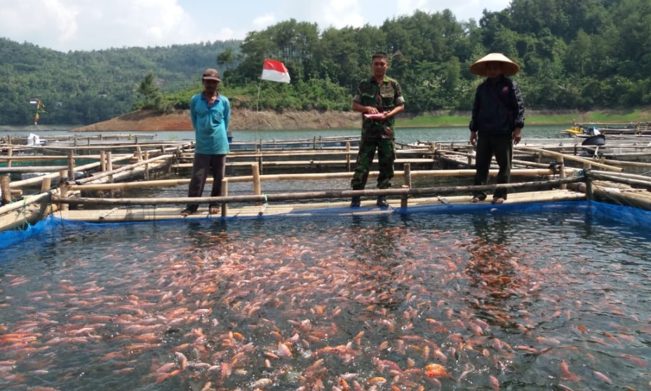 Bisnis Eksportir Ikan Segar Selalu Untung