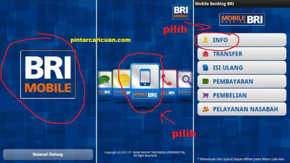 Cara Cek Saldo BRI Via Mobile Banking