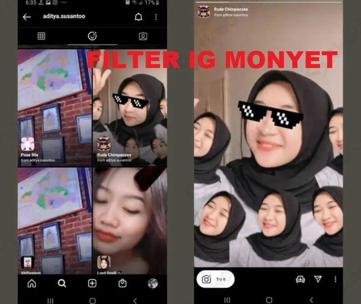Efek Monyet Tiktok Rude Chimpanzes di Instagram